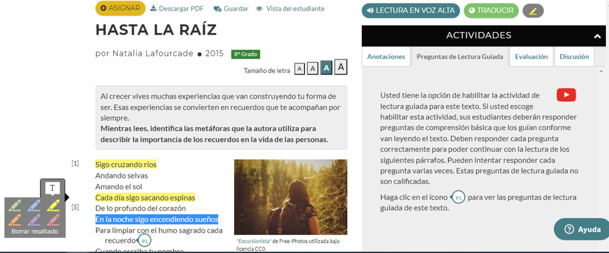 Texto: Hasta La Raiz con secciones resaltadas