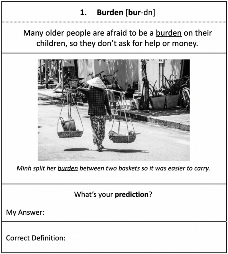 The vocabulary activities for students.